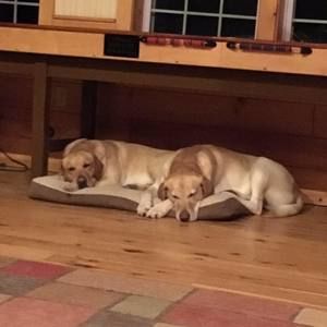 Meet your Posher, Paula